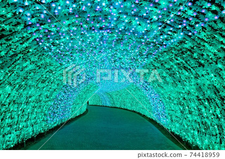 Mie Prefecture Nabana no Sato Illuminations Mie Prefecture Nabana no Sato Illuminations 74418959