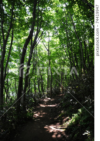 Ulleungdo,旅遊,Dona,島國,Seonginbong Ulleungdo,旅遊,Dona,島國,Seonginbong 74419947