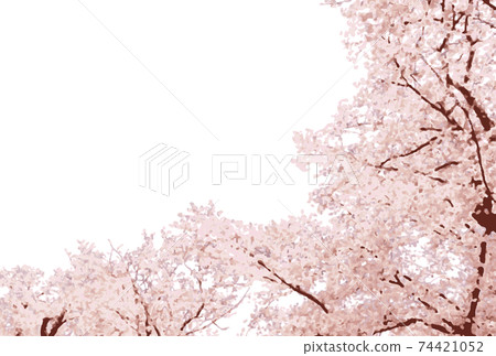 櫻花水彩副本空間 櫻花水彩副本空間 74421052