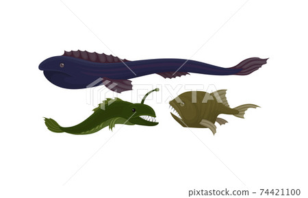 Toothy Extinct Fish from Deep Sea as Gill-bearing Aquatic Animals Vector Set Toothy Extinct Fish from Deep Sea as Gill-bearing Aquatic Animals Vector Set 74421100