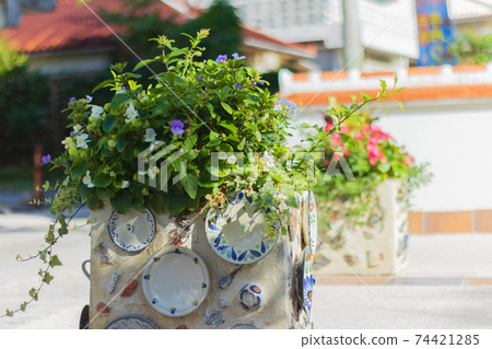 Potted plants on Tsuboya Yachimun Street, Okinawa Prefecture Potted plants on Tsuboya Yachimun Street, Okinawa Prefecture 74421285