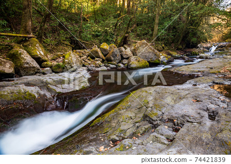 scenery scenery 74421839