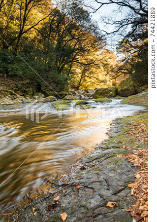 scenery scenery 74421889