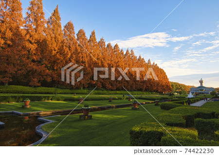 [Sagamihara City] Sagamihara Park Metasequoia Namiki 74422230