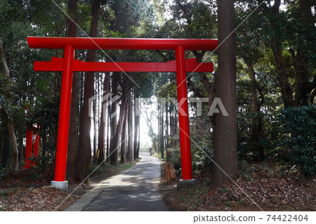 Romantic Ibaraki (A torii gate in the north of Kashima Jingu, loved by local worshipers, stands on a forest path where one car can finally pass) 74422404