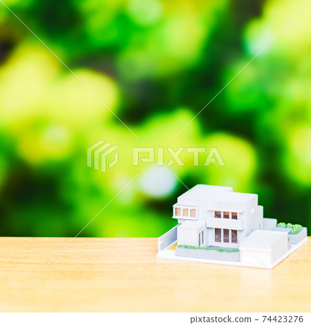 Single-family mortgage life planning 74423276