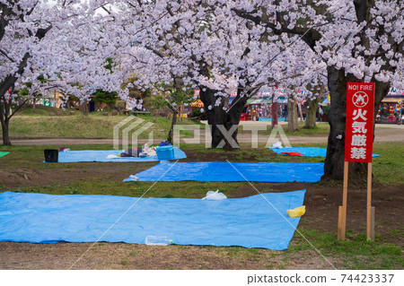 Place taking cherry-blossom viewing Place taking cherry-blossom viewing 74423337