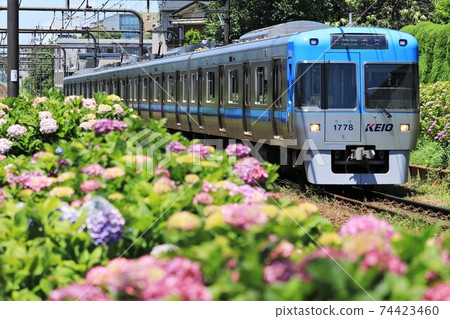 京王井之頭線/初夏藍色 京王井之頭線/初夏藍色 74423460