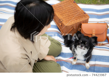 黑色長外套奇瓦瓦州和休閒表上放鬆的女人 黑色長外套奇瓦瓦州和休閒表上放鬆的女人 74423967