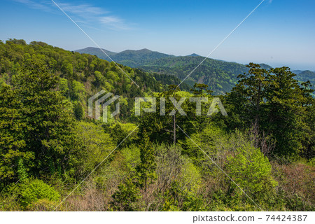 青森Hi場之森迎接春天的新鮮綠色 74424387