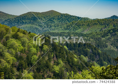 青森Hi場之森迎接春天的新鮮綠色 74424388