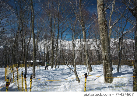 Hakuba Iwatake Snowfield Pet Zone Dog Run 74424607