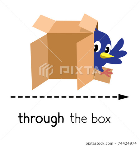 Preposition of movement. Bird walk through the box 74424974