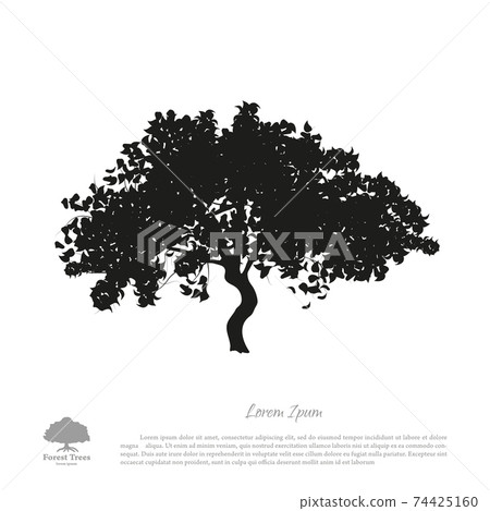 Black tree silhouette on white background. Isolated apple tree 74425160