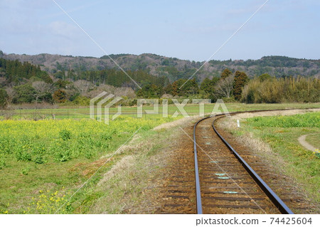 石上油菜花田小湊鐵路 石上油菜花田小湊鐵路 74425604