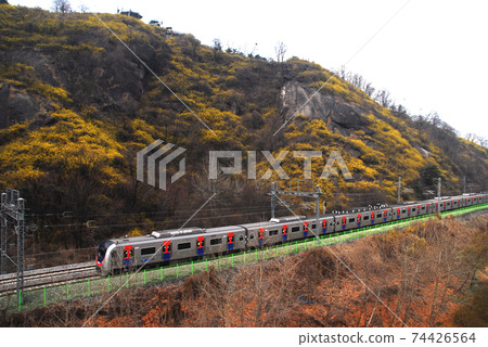 城東區恩鳳山,八嶽亭,漢江,火車,連翹,春季 城東區恩鳳山,八嶽亭,漢江,火車,連翹,春季 74426564