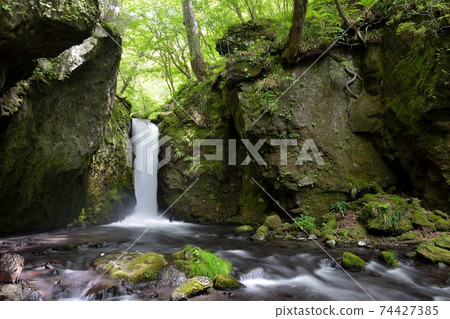 Take a picture with a slow shutter while listening to the roaring sound of the waterfall in Karuizawa Ryugae in May of the fresh green. 74427385