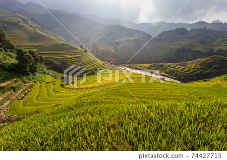 Terraced rice paddy field landscape of Mu Cang Chai, Yenbai, Northern Vietnam Terraced rice paddy field landscape of Mu Cang Chai, Yenbai, Northern Vietnam 74427715