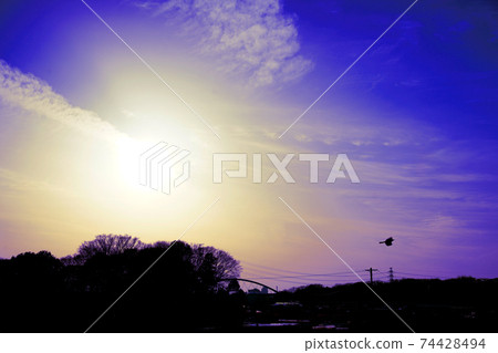 Birds and the sun 74428494