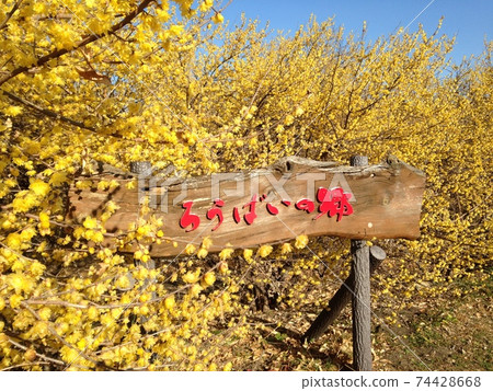 Roubai no Sato香水包裹 Roubai no Sato香水包裹 74428668