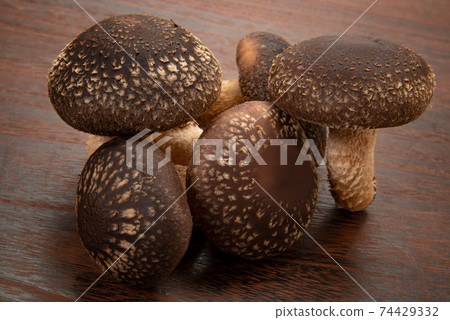 Raw fungus bed shiitake mushrooms Raw fungus bed shiitake mushrooms 74429332