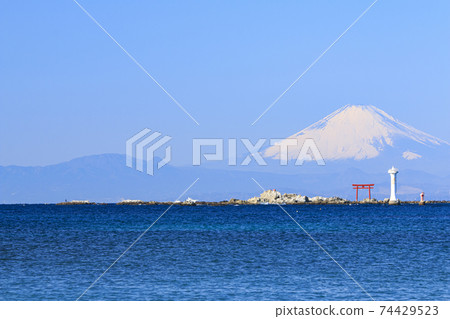 Winter in Hayama Town, Zushi City, Shonan Miura Peninsula 74429523