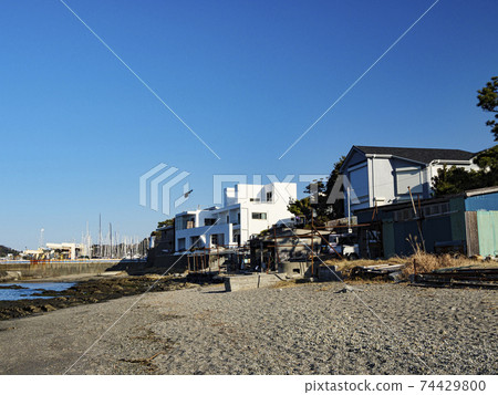 Winter in Hayama Town, Zushi City, Shonan Miura Peninsula 74429800