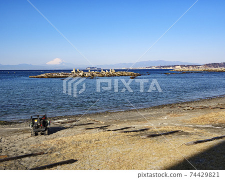 Winter in Hayama Town, Zushi City, Shonan Miura Peninsula 74429821