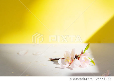 Minimal product display Minimal product display 74431288