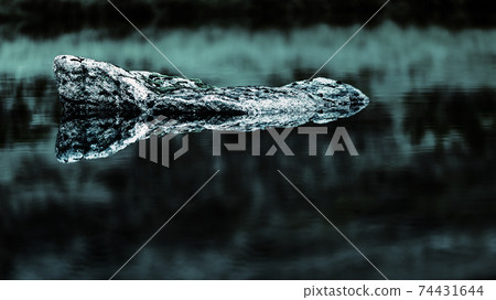 Spooky stone in a quiet mountain lake, horror 74431644