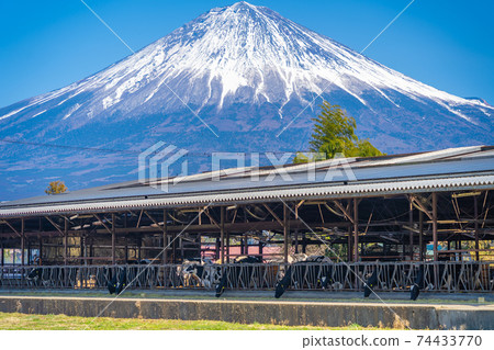 富士山和牛棚 74433770