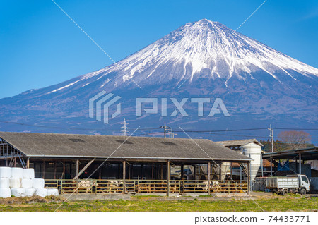 富士山和牛棚 74433771