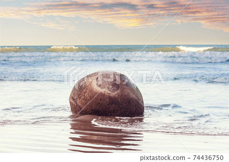 Moeraki boulder 74436750
