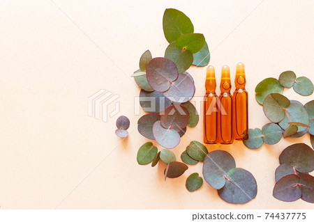 Ampoules with serum for hair or skin care and Eucalyptus Baby Blue on craft paper background with copy space. Beauty concept Ampoules with serum for hair or skin care and Eucalyptus Baby Blue on craft paper background with copy space. Beauty concept 74437775