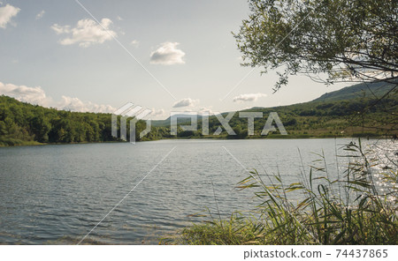 Summer landscape with coastal reed and still lake at sunny day 74437865