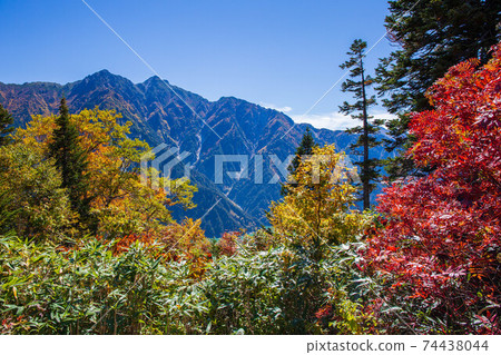 View from Kurobedaira on the Tateyama Kurobe Alpine Route in autumn 74438044