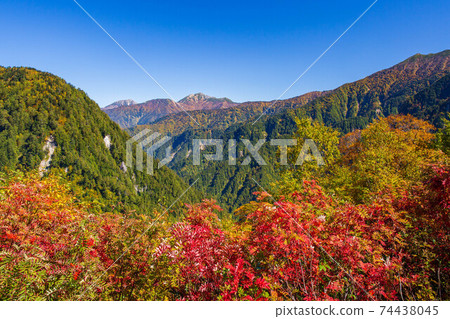 View from Kurobedaira on the Tateyama Kurobe Alpine Route in autumn 74438045