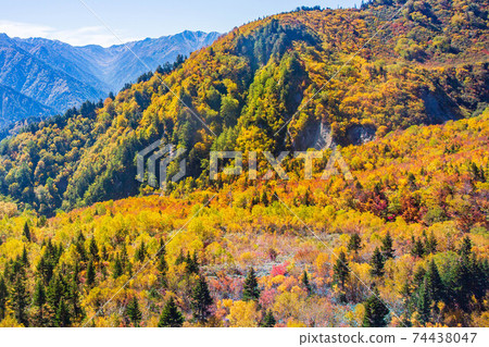 View from Tateyama Ropeway on the Tateyama Kurobe Alpine Route in Autumn 74438047
