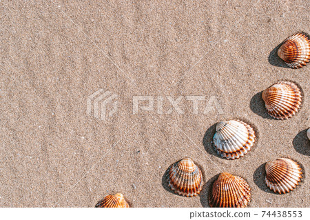 Summer concept background with seashells, shells on sand tropical sea beach. Design of summer vacation holiday concept. Summer concept background with seashells, shells on sand tropical sea beach. Design of summer vacation holiday concept. 74438553