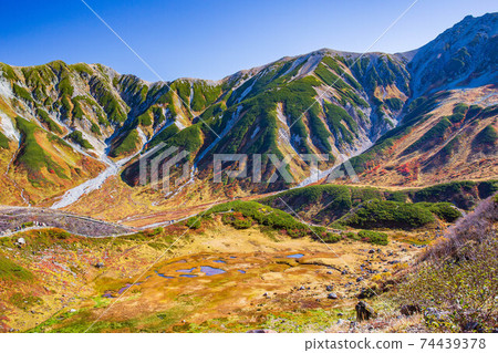 Autumn Tateyama Kurobe Alpine Route Murododaira 74439378
