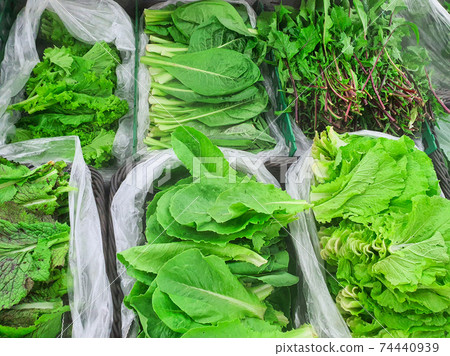 Various kinds of fresh ssam vegetables Various kinds of fresh ssam vegetables 74440939