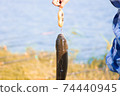 A man weighs fish caught in the lake on a scale. Fishing. Catch. 74440945