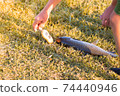 A man weighs fish caught in the lake on a scale. Fishing. Catch. 74440946