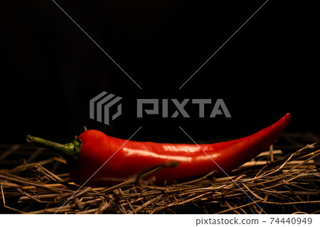 red hot chili peppers lie on dry grass and a metal grill red hot chili peppers lie on dry grass and a metal grill 74440949