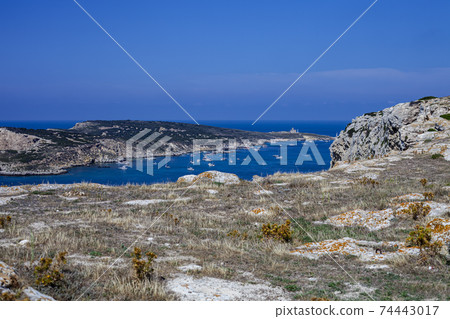 View of the Tremiti Islands. San Domino island, Italy: scenic view of tipycal rocky coastline. 74443017