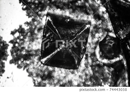 Amazing salt crystal close up under the light microscope. Grown crystal of table salt 74443038