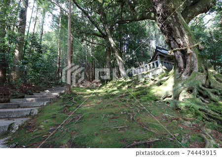 赤岩神社 赤岩神社 74443915