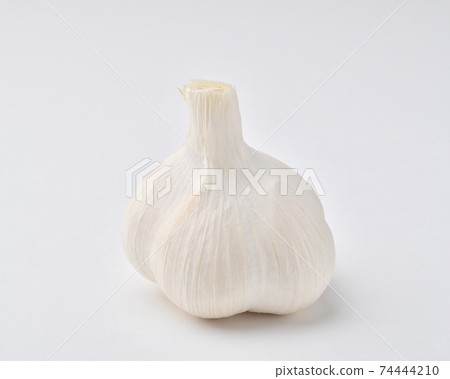 garlic garlic 74444210