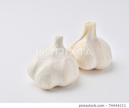 大蒜 74444211