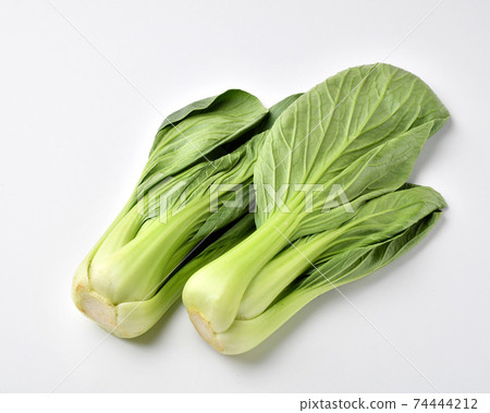 藍栗子 74444212